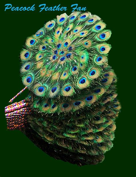 The Wedding Stationers Husband Calling All Peacock Design Lovers