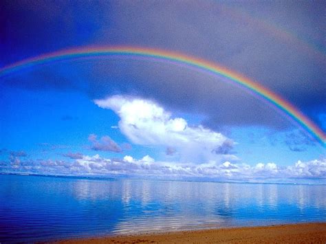 Rainbow Above Beach And Mobile Background Hd Wallpaper Pxfuel