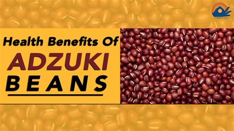 health benefits of adzuki beans youtube