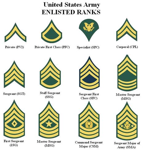 15 Best Unit 029 Corporate Identity Primer Military Insignia Images On