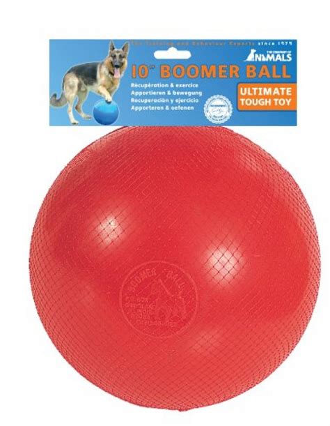 The Company Of Animals Boomer Ball Durable And Indestructible Dog