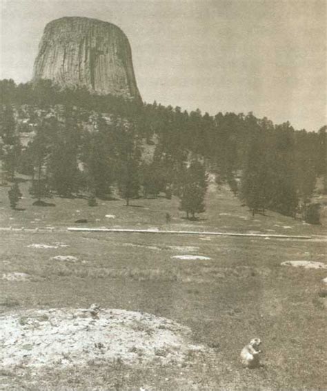Devils Tower Nm Standing Witness Devils Tower National Monument A