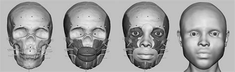 Facial Reconstruction Science Or Art Petrosains