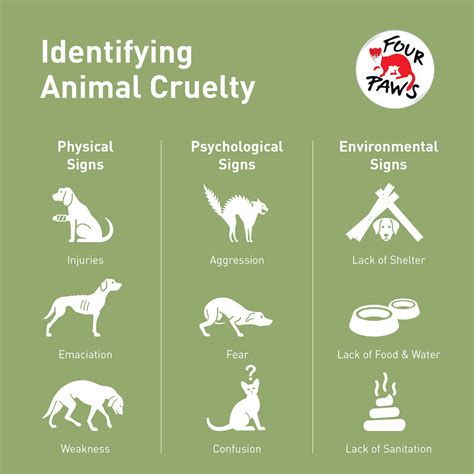 How To Identify Cruelty To Animals Preventcrueltytoanimals