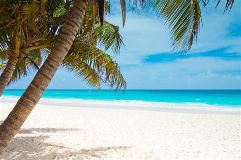 Beach Blue Coast Palm Trees Landscape Caribbean Sea Sky