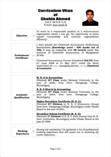 Samples Of Curriculum Vitae Cv Sample For Any Position Resume