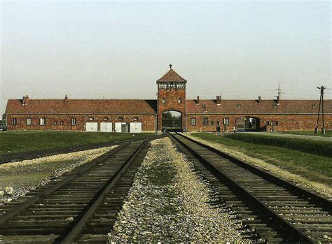 Regressar De Auschwitz Birkenau Um Texto A Ler De Uma Deputada Do Cds
