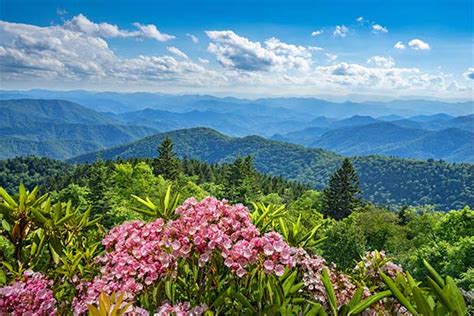 10 Must Do Activities In The Great Smoky Mountains