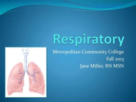 Ppt Respiratory Powerpoint Presentation Free Download Id631591