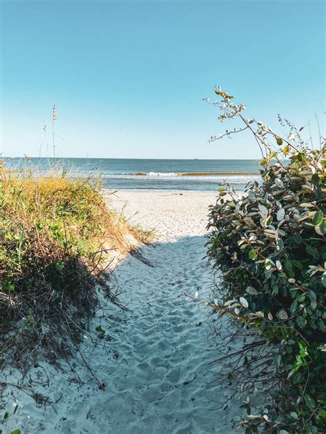 Guide To Sullivans Island And Isle Of Palms In South Carolina The