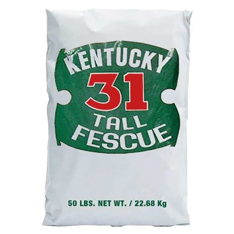 Kentucky 31 Tall Fescue Grass Seed 50 Lbs