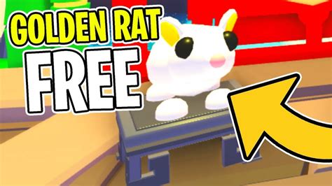 Scamming 11 Golden Rats In Roblox Adopt Me Youtube