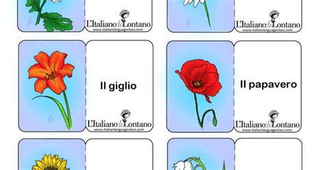 Considera l'utilizzo di parole straniere nel tuo nome per dare al tuo brand un. Per imparare i nomi dei fiori in italiano. #flashcards # ...