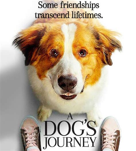 A dog's extraordinary bond with a family deepens when he befriends a young granddaughter, and reincarnates to protect and support her as she grows up. A Dog's Journey - Movie Review | Movie Reviews by Mocomi