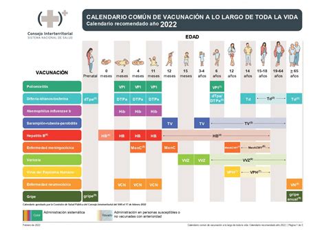 Importantes Novedades En Los Calendarios Vacunales Infantiles De Las