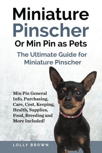 Buy Miniature Pinscher Or Min Pin As Pets Min Pin General Info