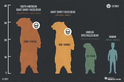 Size Comparison Of Short Faced Bears Naturewasmetal