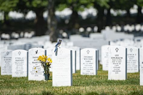 Find A Grave Arlington Cemetery