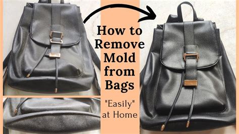 How To Remove Mold From Leather Bag At Home Easily Youtube