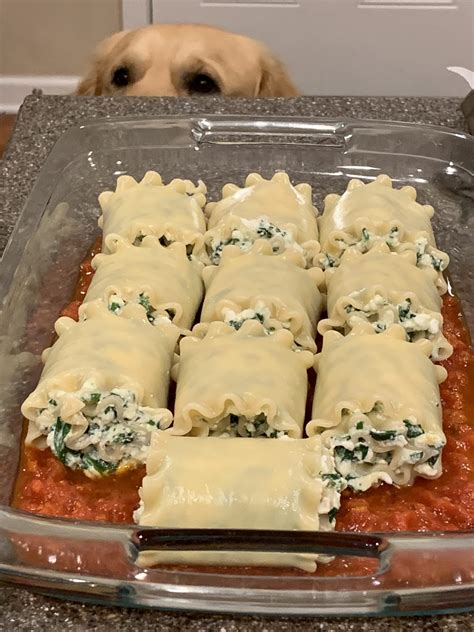 Spinach Lasagna Rolls Fit As A Foodie