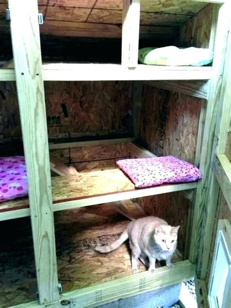 Most outdoor cat houses offer some degree of weatherproofing, but it's important to have clear expectations on what's available. how to build an outdoor cat house insulated cat house ...