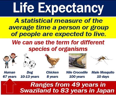 What Is Life Expectancy Definition And Examples Market Business News