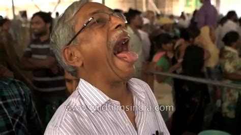 Thousands Swallow Live Fish In India To Relieve Asthma Youtube