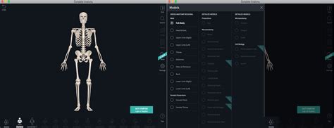 The complete anatomy app is one of the best anatomy software solutions you can download for windows computers. The best free anatomy apps for Mac for medical students