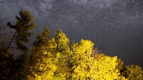 Wallpaper Trees Starry Sky Night Stars Hd Picture Image