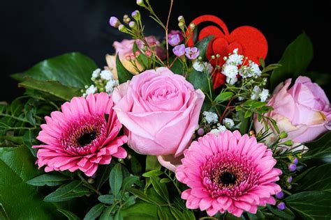 Rose Blume Blüte Kostenloses Foto Auf Pixabay