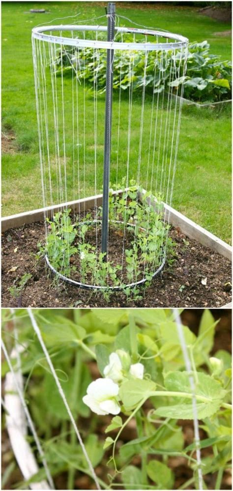 Recycled Diy Trellis Ideas For The Garden Tips And Tricks Tips
