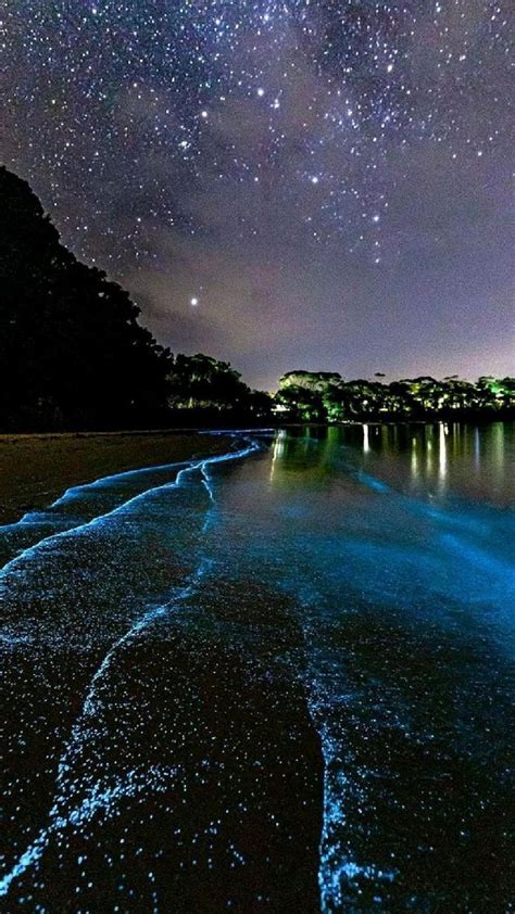 pin by the travel tart on aquaholic travel aesthetic attractions near me bioluminescent