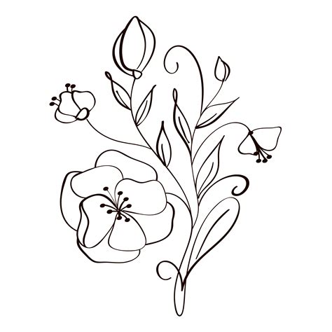 Modern Flowers Drawing And Sketch Floral With Line Art Isolated On
