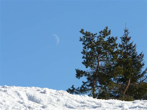 Free Moon Over Snow Stock Photo