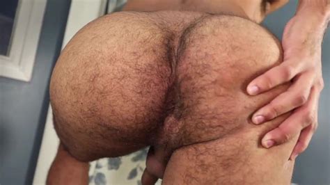 Hairy Ass Rimming Brazilian S Hairy Ass Thisvid