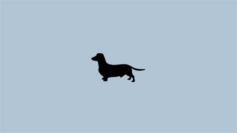 Minimalist Dog Wallpapers Top Free Minimalist Dog Backgrounds