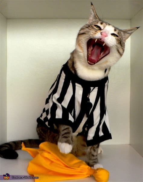 Nfl Referee Cat Costume Original Diy Costumes