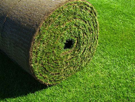 Buy Pre Grown Sod Grass Sod Delivered To Ny Vt Nj Ma Nh Ct