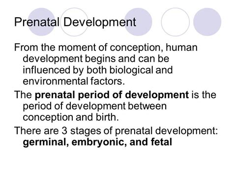 Prenatal Development Information In This Presentation Is Taken