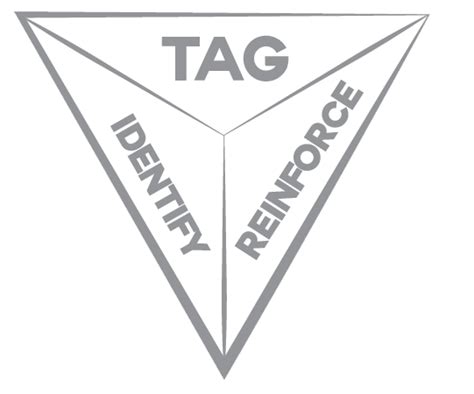 New Tag Triangle Copy Tagteach Membership And Online Courses