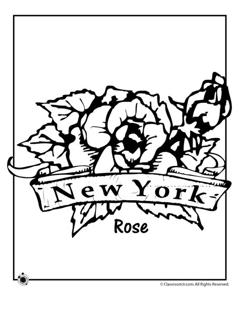 Medium to tall tree (to 100 feet) with very dense elliptical crown. New York State Flower Coloring Page | Flag coloring pages ...