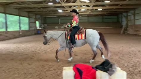 Sheryl Bradshaw And Flyin Starlight Adult Western Pleasure Equitation
