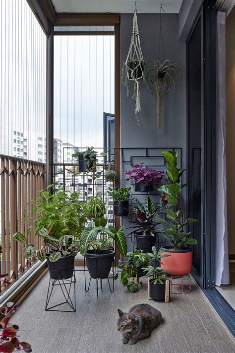 Ideas To Decorate Balcony Balcony Modern Decorating Plants Potted Greenery Urban Contemporary