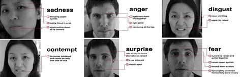How To Read Facial Expressions The Definitive Guide To Reading