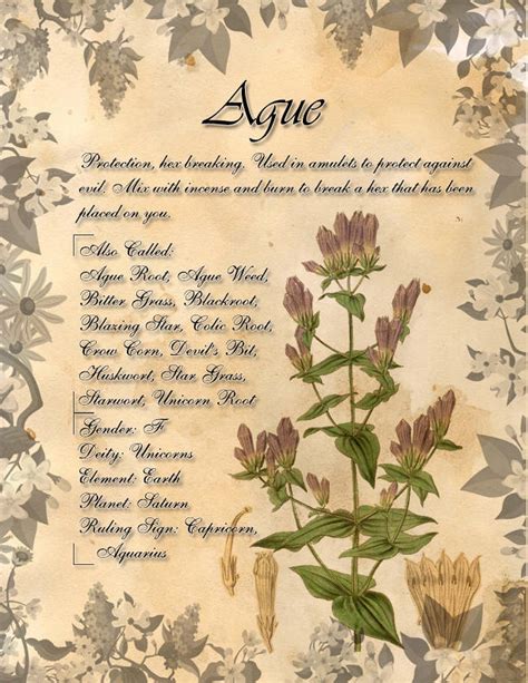 Book Of Shadows Herb Grimoire Ague By Conigma On Deviantart