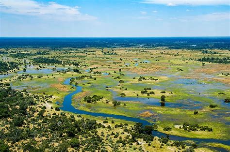 The Okavango Delta In Botswana Safari Web