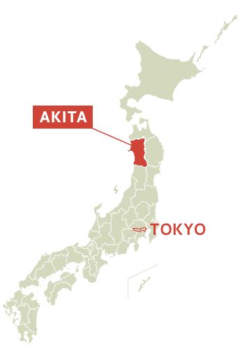 Akita Experience Illumination And Powdersnow Tohoku X Tokyo Japan