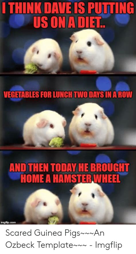 Hamster Facetime Meme Template