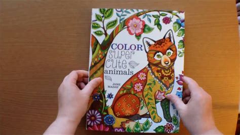 Color Super Cute Animals By Jane Maday Colouring Book