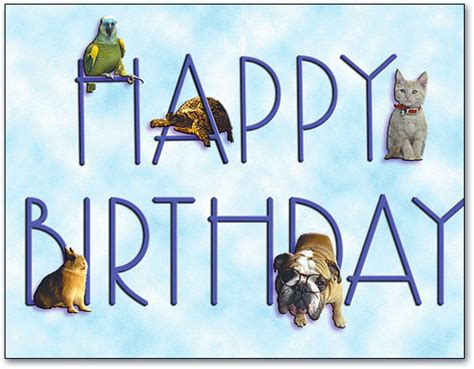 Exotic Themed Birthday Cards SmartPractice Veterinary